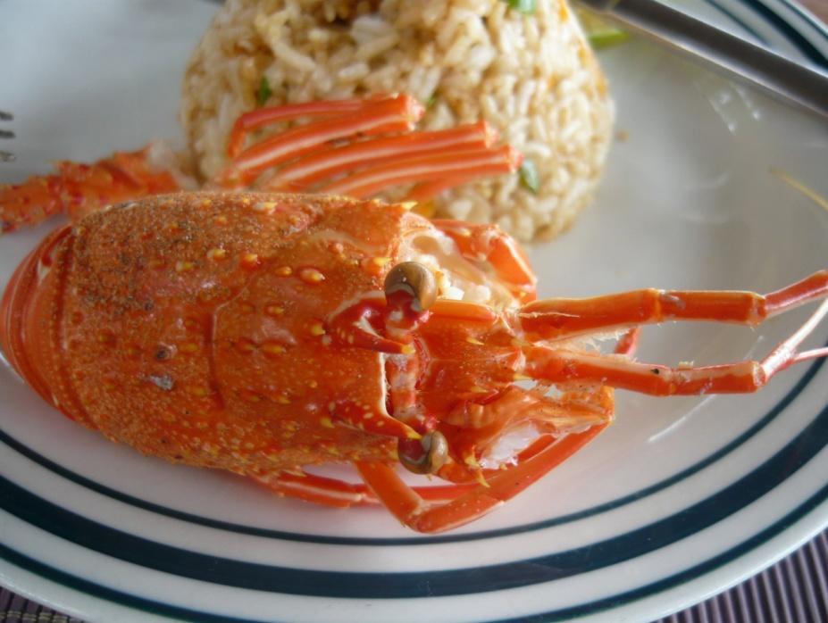 Lobsterpaul